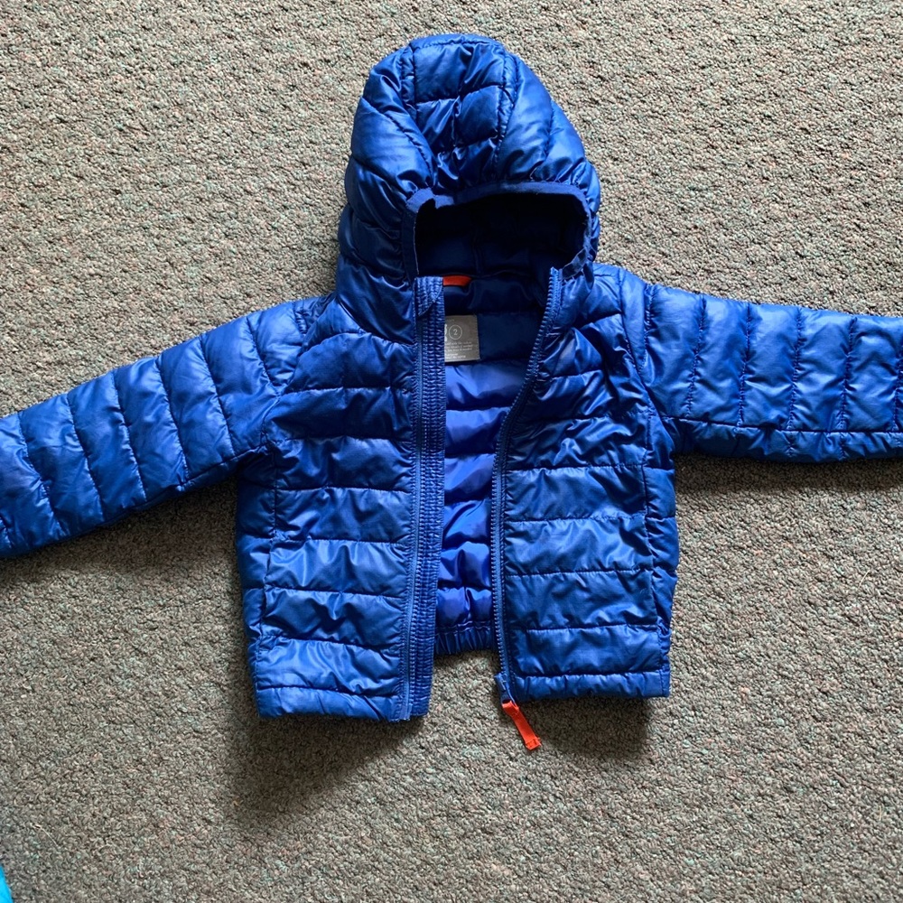 Primary blue toddler puffer jacket